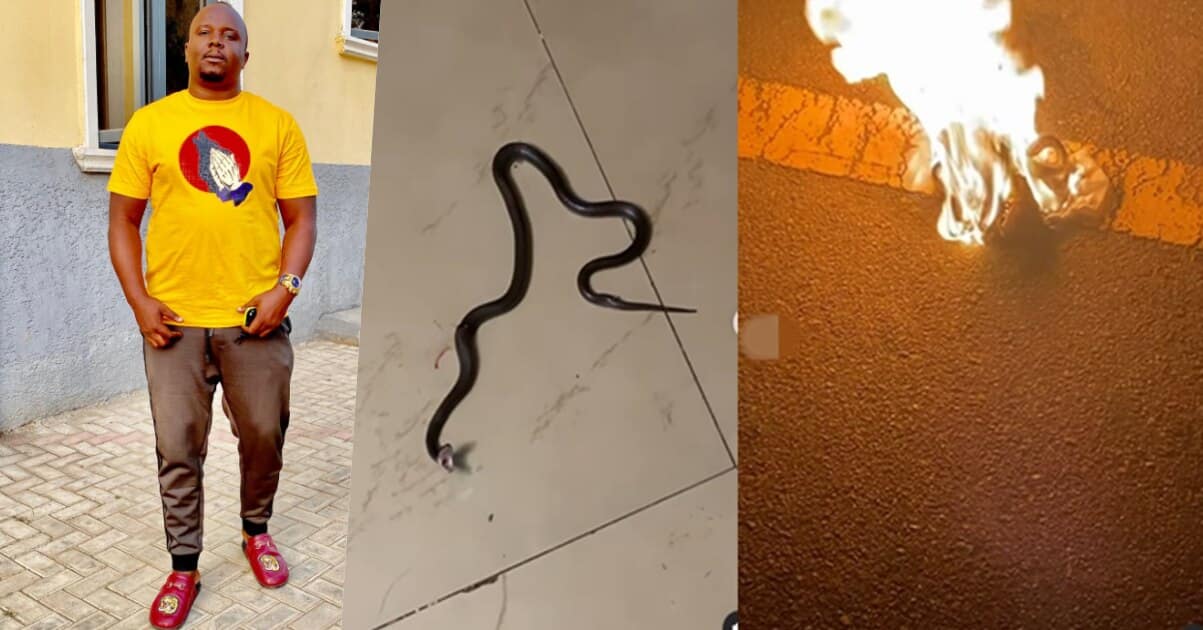 What are you looking for in my house - Kelvin Chizzy shares video of snake that attacked him at the dead of night