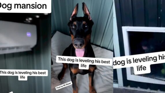 Dog Air Conditioner Mansion