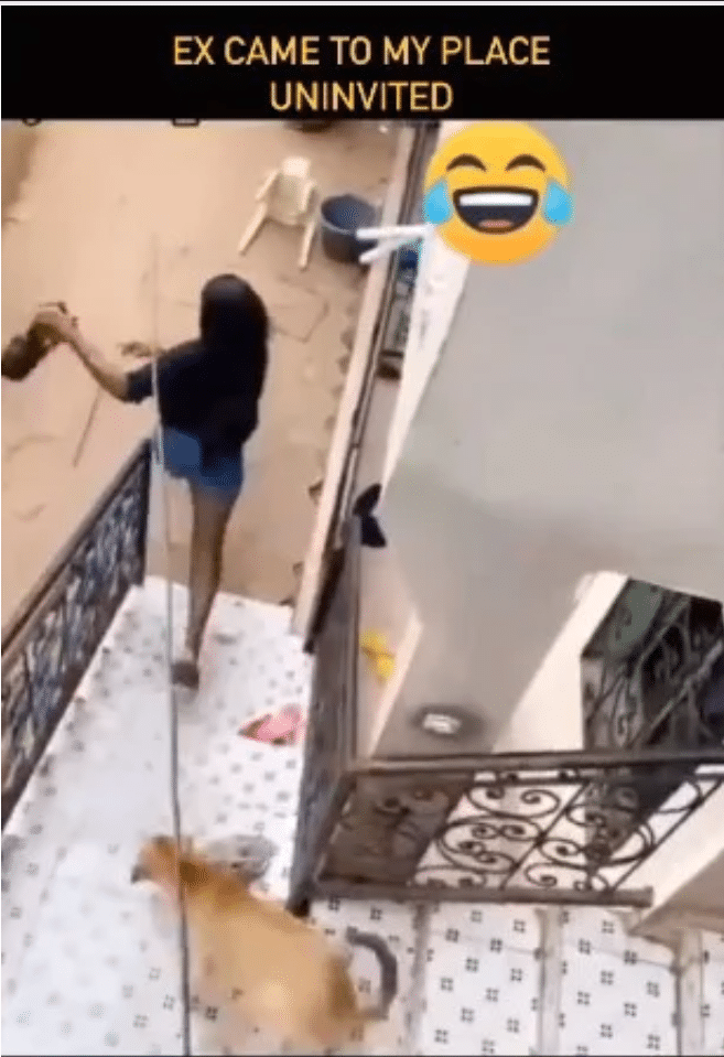 Dog chases off ex-girlfriend as she shows up unannounced