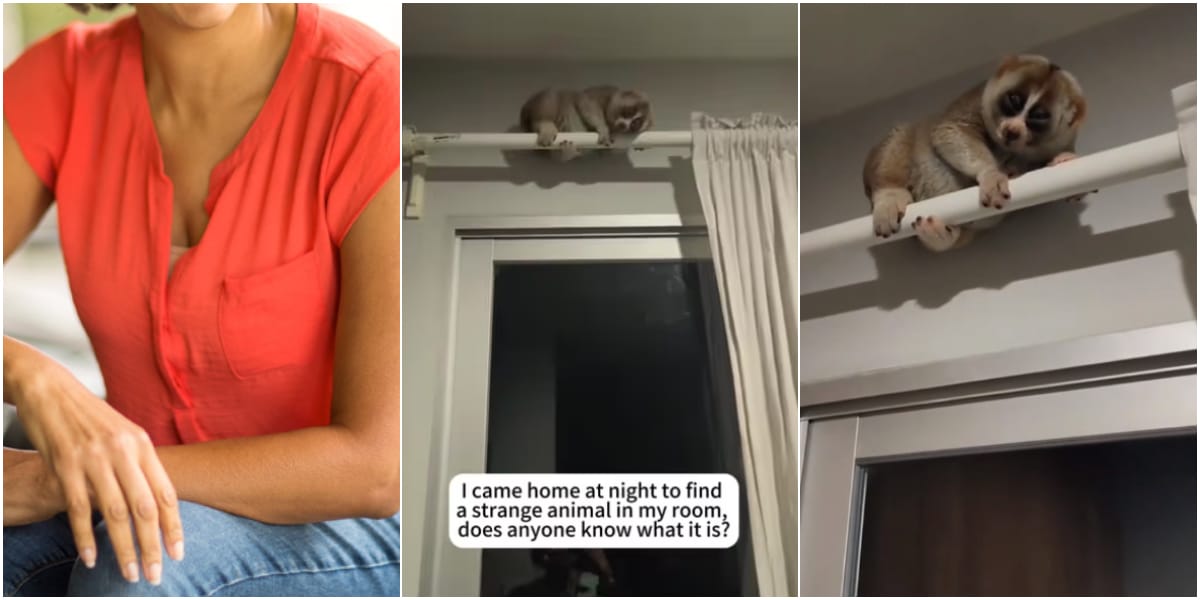 "I came back at night and saw this" - Woman shares video of a strange creature in her room, it stuns many