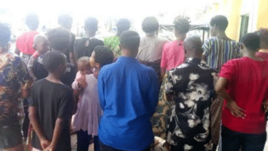 Police raid baby factory in Abia, rescue 16 pregnant women