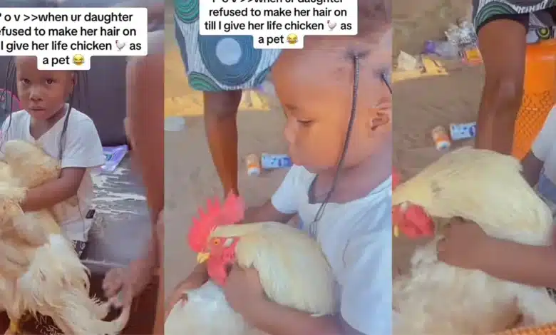 “This one na priestess” — Little girl refuses to make her hair without holding live chicken