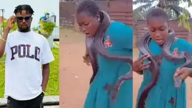 Stanley Ontop calls out Nollywood producers for using live snake