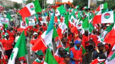NLC forces closure of Jos DisCo due to increase in electricity tariff